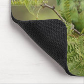 Tapis De Souris perruche Rose-baguée (Coin)
