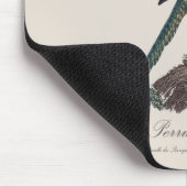 Tapis De Souris Perruche terrestre ou Perruche des marais, Pezopor (Coin)