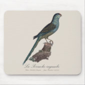 Tapis De Souris Perruche terrestre ou Perruche des marais, Pezopor (Devant)