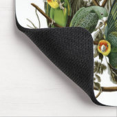 Tapis De Souris Perruches de Caroline d'Audubon (Coin)