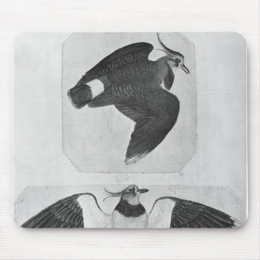 Tapis De Souris Perruches, le de l'album de Vallardi (Devant)