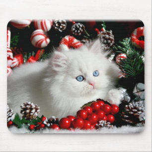 Tapis De Souris Persan blanc adorable dans l'arrangement de Noël