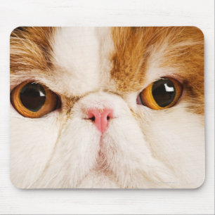 Tapis De Souris Persan de harlequin de calicot