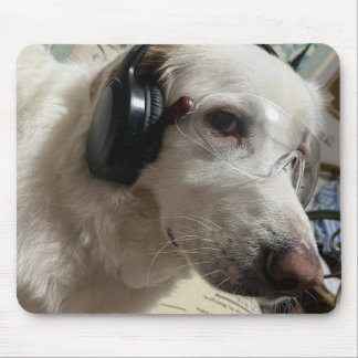 Tapis De Souris Personalized Pet Photo 