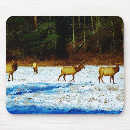 Tapis De Souris Personnaliser (Devant)