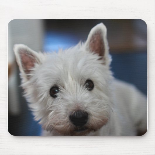 Tapis De Souris Pestie ultra mite Westie White Terrier (Devant)
