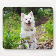 Pet Photo et nom Personalized