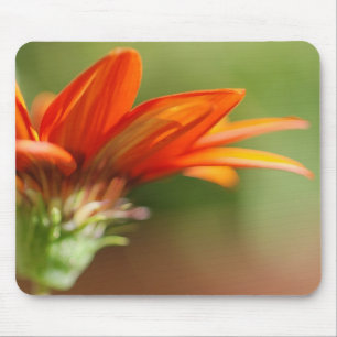 Tapis De Souris Pétales rouges de Gazania