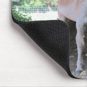 Tapis De Souris Petit âne (Coin)
