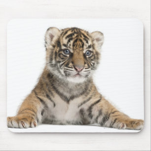 Tapis De Souris Petit animal de tigre de Sumatran