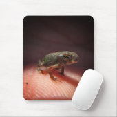 Tapis De Souris Petit Bébé mou crapaud / Tadpole (Avec souris)