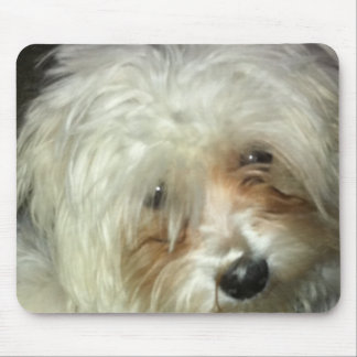Tapis De Souris Petit Casper mignon