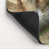 Tapis De Souris petit chat sur un pré vert de printemps (Coin)