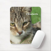 Tapis De Souris petit chat sur un pré vert de printemps (Avec souris)