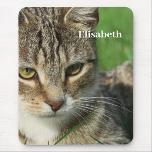 Tapis De Souris petit chat sur un pré vert de printemps