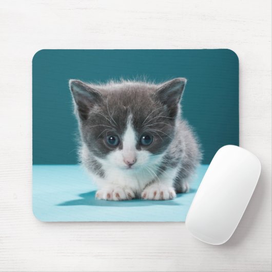 Tapis De Souris Petit chaton (Avec souris)