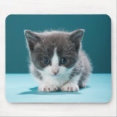 Tapis De Souris Petit chaton (Devant)