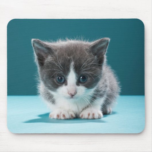 Tapis De Souris Petit chaton (Devant)