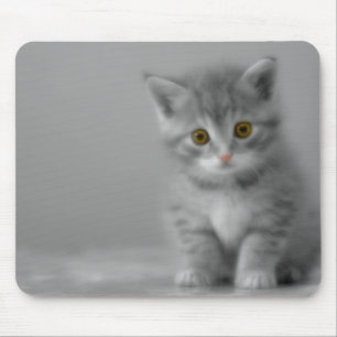 Tapis De Souris Petit chaton doux