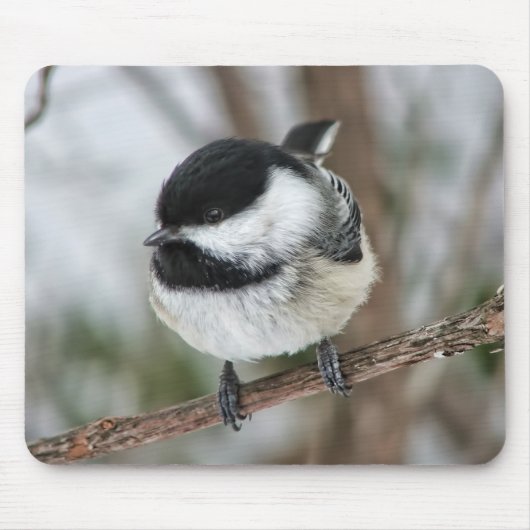 Tapis De Souris Petit Chickadee mignon (Devant)