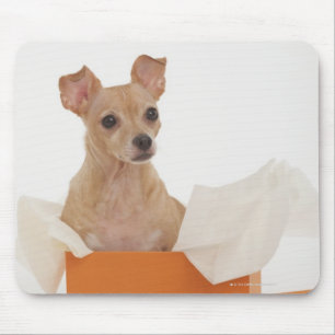 Tapis De Souris Petit chien se reposant dans la boîte-cadeau