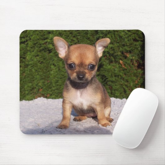 Tapis De Souris Petit Chihuahua Chien chiot mignon (Avec souris)