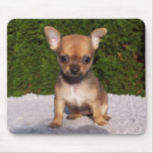 Tapis De Souris Petit Chihuahua Chien chiot mignon (Devant)