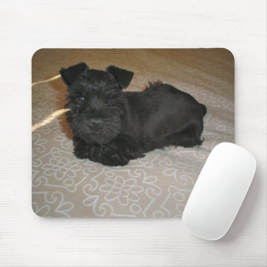 Tapis De Souris petit chiot schnauzer (Avec souris)