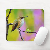 Tapis De Souris Petit colibri gras (Avec souris)