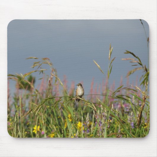 Tapis De Souris Petit colibri gras (Devant)