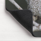 Tapis De Souris Petit-duc maculé, Megascops asio, Otus 2 (Coin)