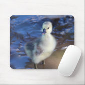 Tapis De Souris Petit Gosling Mousepad (Avec souris)