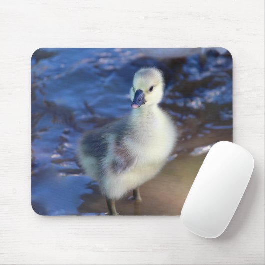 Tapis De Souris Petit Gosling Mousepad (Avec souris)
