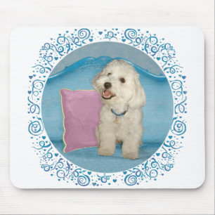 Tapis De Souris Petit Havanais sur Canapé Turquoise