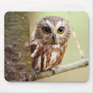 Tapis De Souris Petit hibou de bébé Ontarios