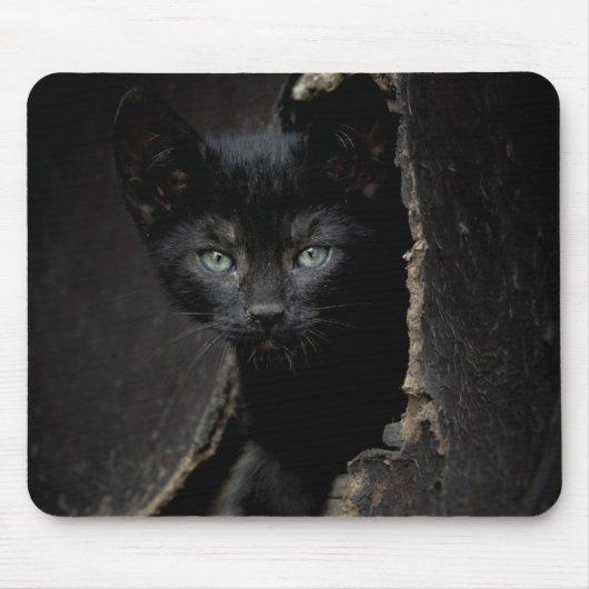 Tapis De Souris Petit Kitty noir (Devant)