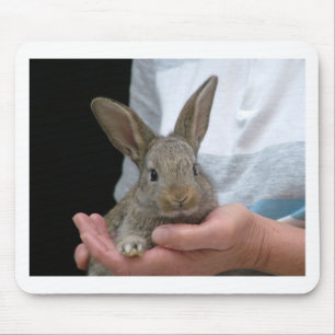 Tapis De Souris petit lapin doux