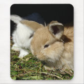 Tapis De Souris Petit lapin moelleux (Devant)