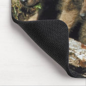 Tapis De Souris Petit loup de bois (Coin)