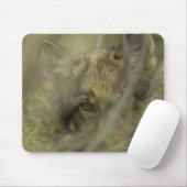 Tapis De Souris Petit loup gris (Canis lupus) seul, caché dans (Avec souris)