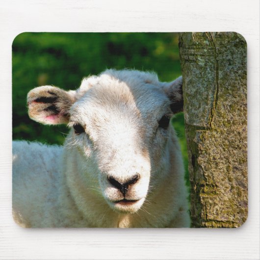 TAPIS DE SOURIS PETIT MOQUETTE (Devant)