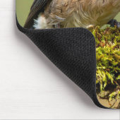 Tapis De Souris Petit oiseau bleu (Coin)