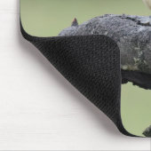 Tapis De Souris Petit oiseau de Kookaburra (Coin)