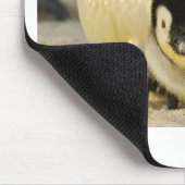 Tapis De Souris Petit pingouin (Coin)