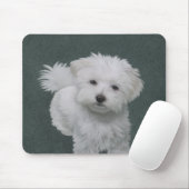 Tapis De Souris Petit portrait de chien blanc (Avec souris)