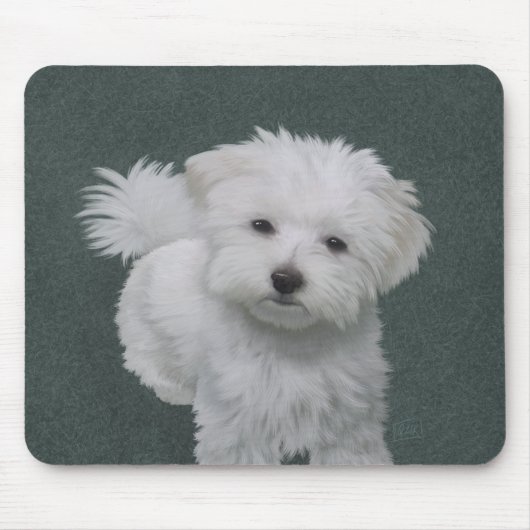 Tapis De Souris Petit portrait de chien blanc (Devant)