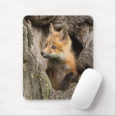 Tapis De Souris Petit Renard rouge dans un arbre Hollow (Avec souris)