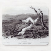 Tapis De Souris Petite belette agile (Devant)