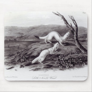 Tapis De Souris Petite belette agile