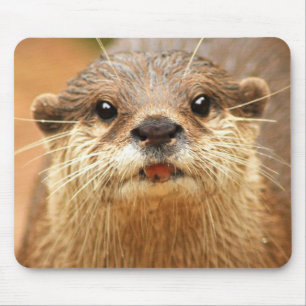 Tapis De Souris Petite louche asiatique